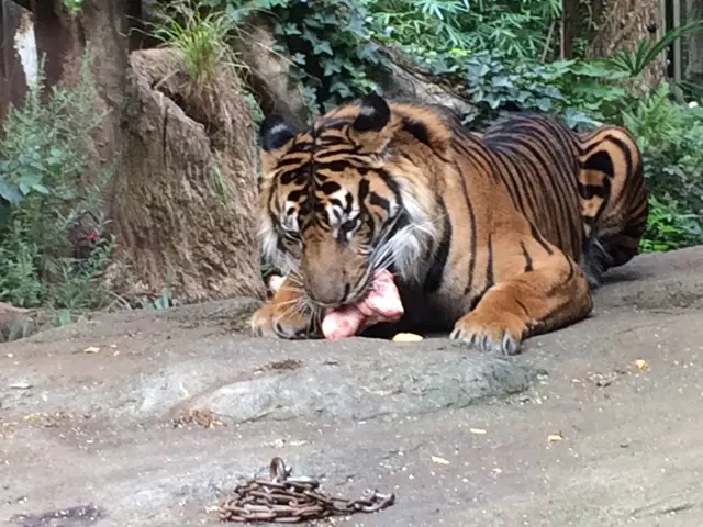 上野動物園