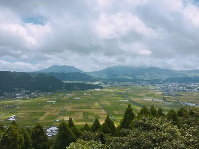 イロナキカゼ
