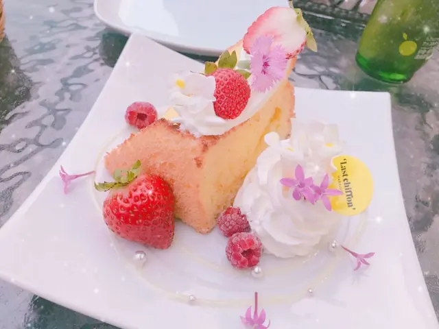 ラストシフォン （Last chiffon）
