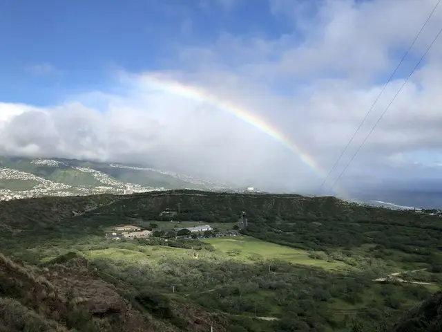 Diamond head（ダイヤモンド・ヘッド）