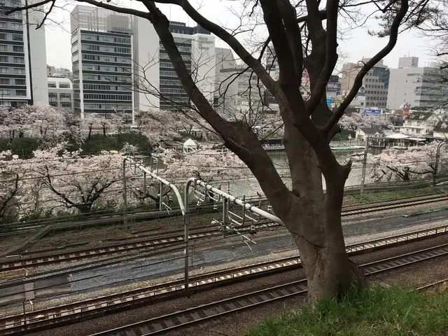 飯田橋サクラテラス