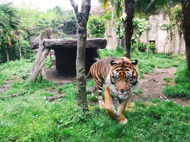 八木山動物公園フジサキの杜