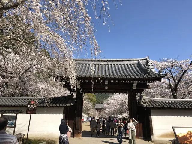 醍醐寺
