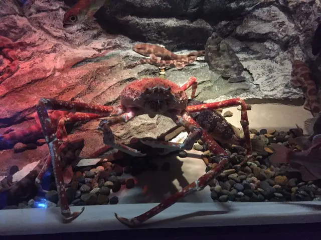 しながわ水族館