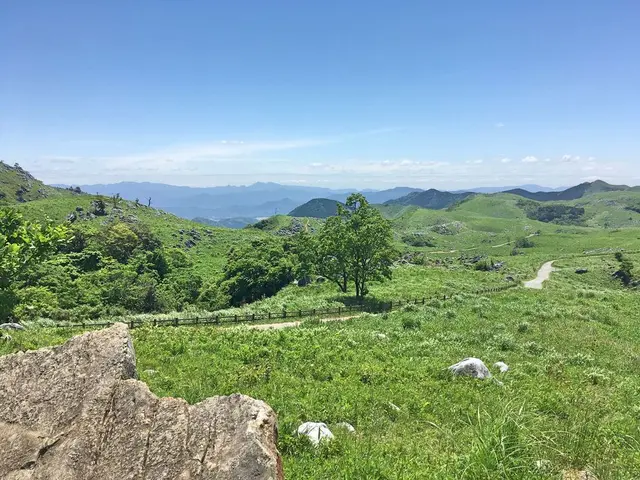 平尾台