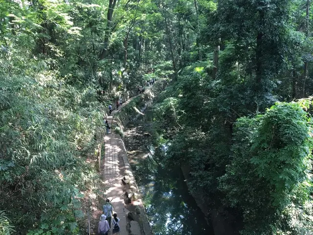 等々力渓谷