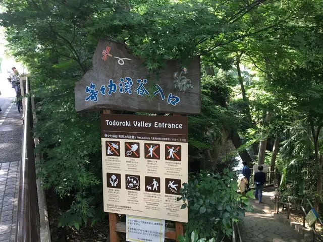 等々力渓谷