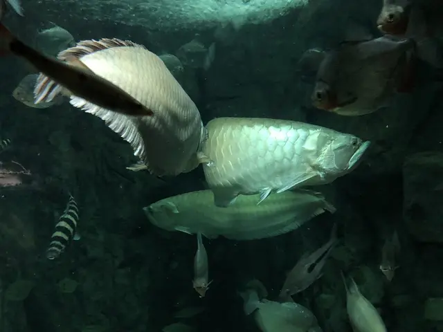 アクア・トトぎふ