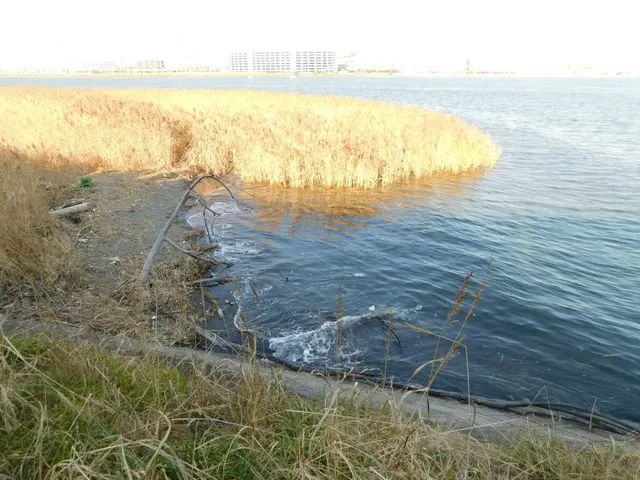 羽田の渡し