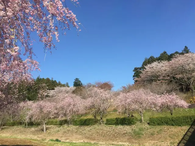 常陸風土記の丘