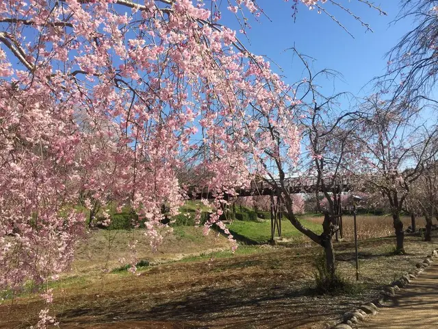 常陸風土記の丘