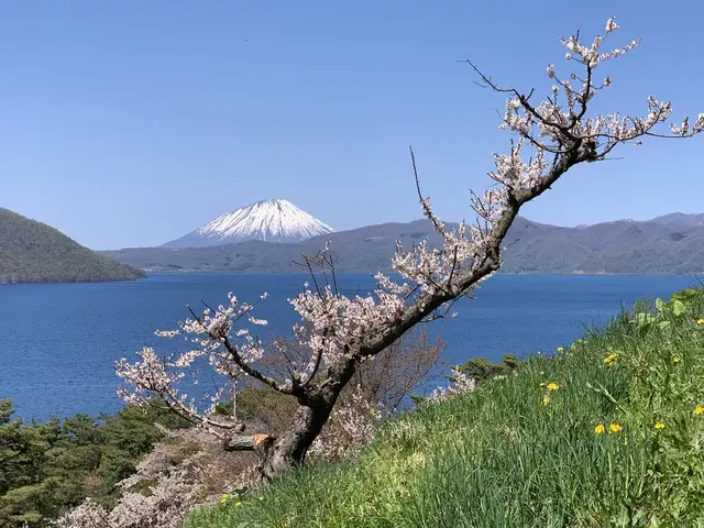 壮瞥公園 のよかったよ を投稿しました 19 05 12 12 39 Holiday ホリデー