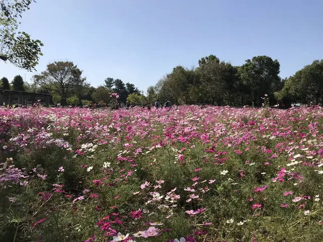 木曽三川公園