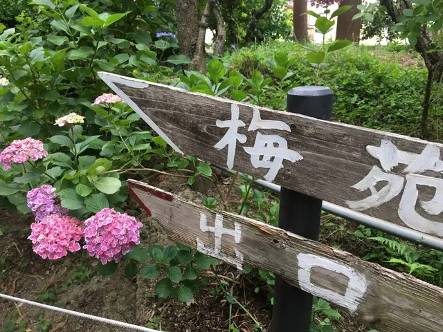 梅宮大社 神苑