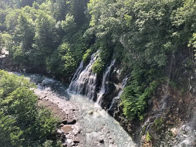 白ひげの滝