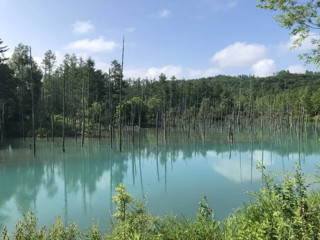 青い池