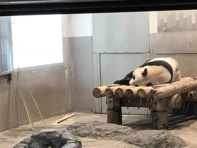 上野動物園