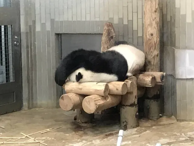上野動物園
