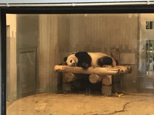 上野動物園