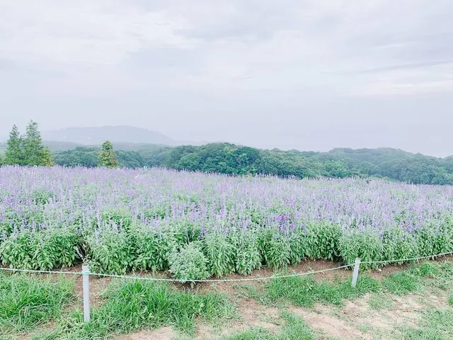 あわじ花さじき