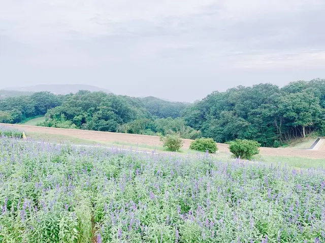 あわじ花さじき