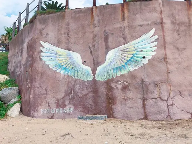パームビーチ 天使の羽