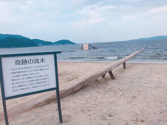 ヤシの木ブランコ