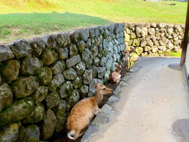 東大寺二月堂
