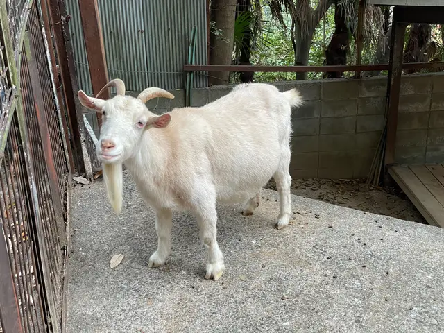池田動物園