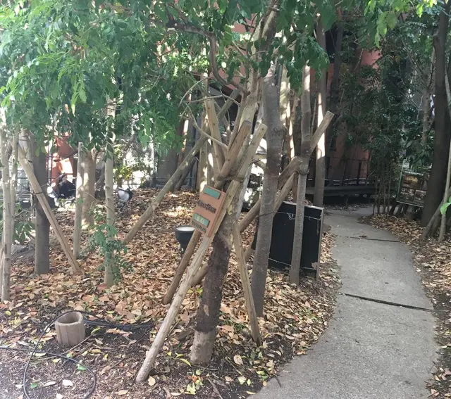 グリーンハウスシルバ （GREEN HOUSE Silva）