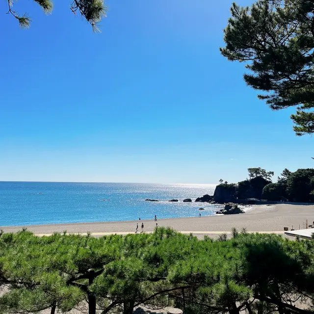桂浜