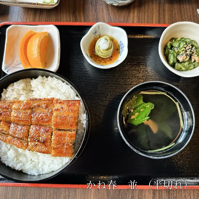 うなぎ料理 かね春