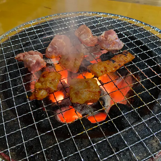 ホルモン心