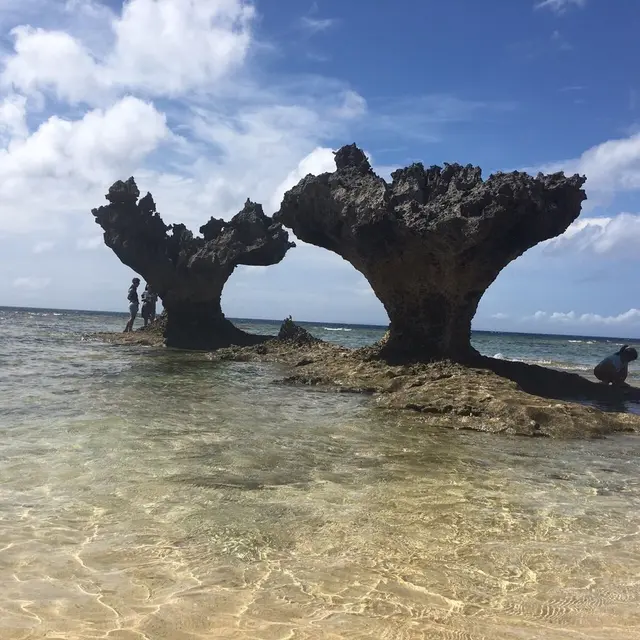 ハートロック