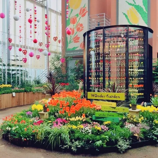チューリップ四季彩館