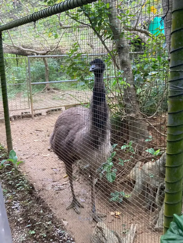 ネオパークオキナワ