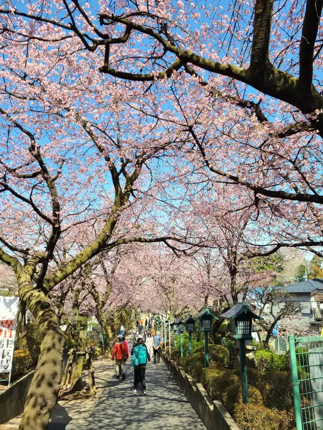 密蔵院