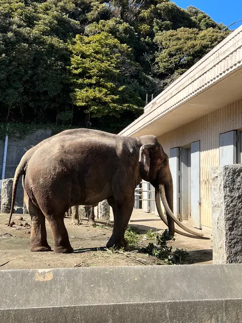 横浜市立金沢動物園