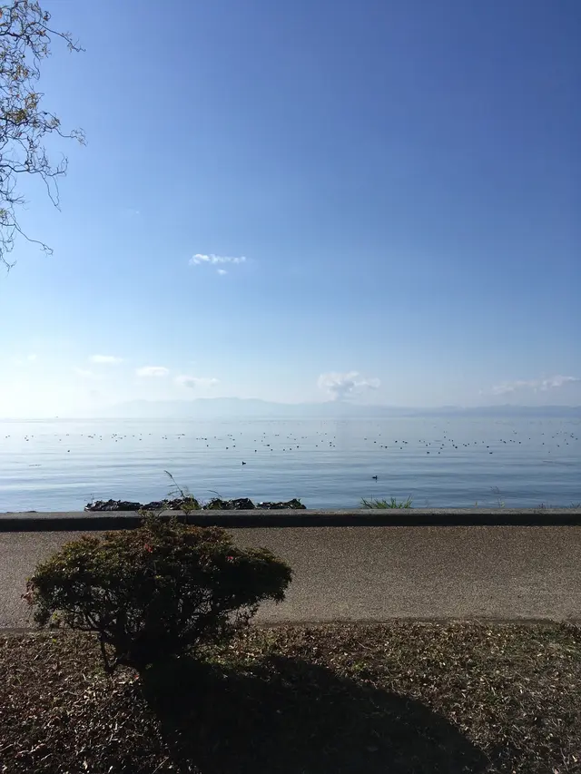 豊公園