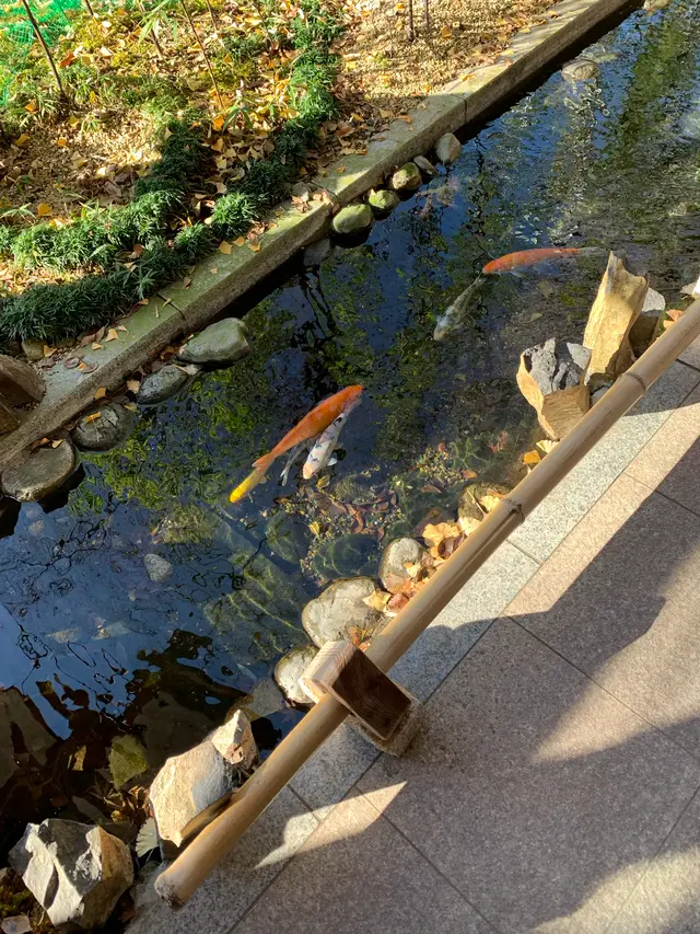 秩父神社