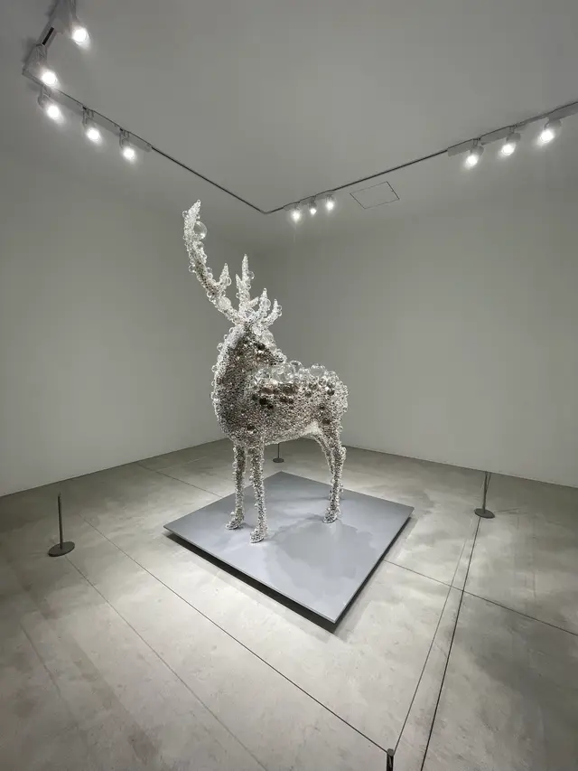 十和田市現代美術館
