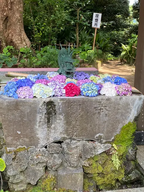 あじさいの杜