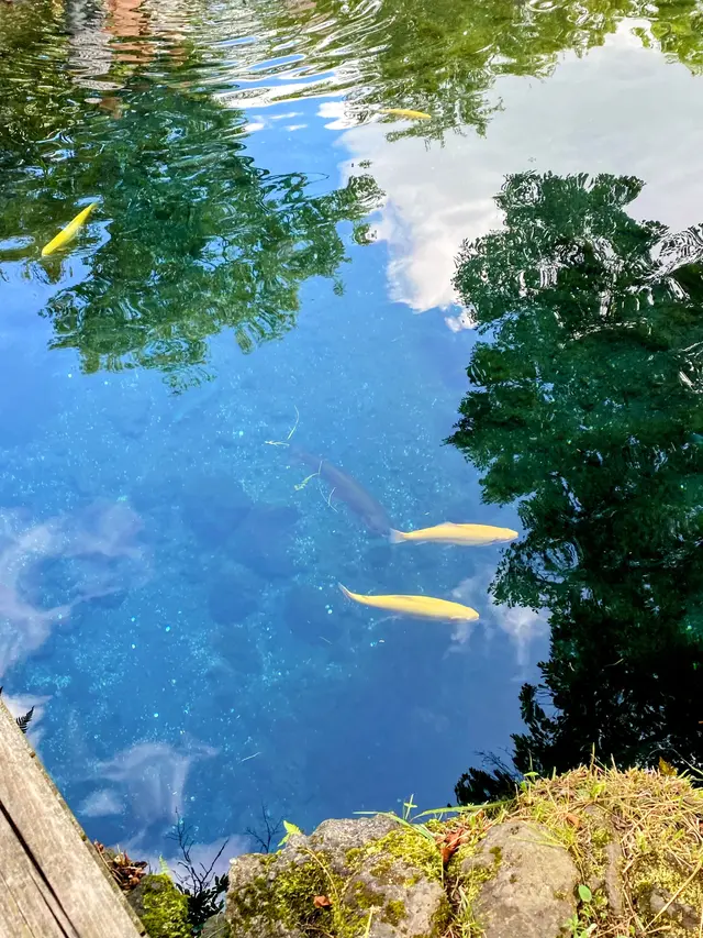 忍野八海