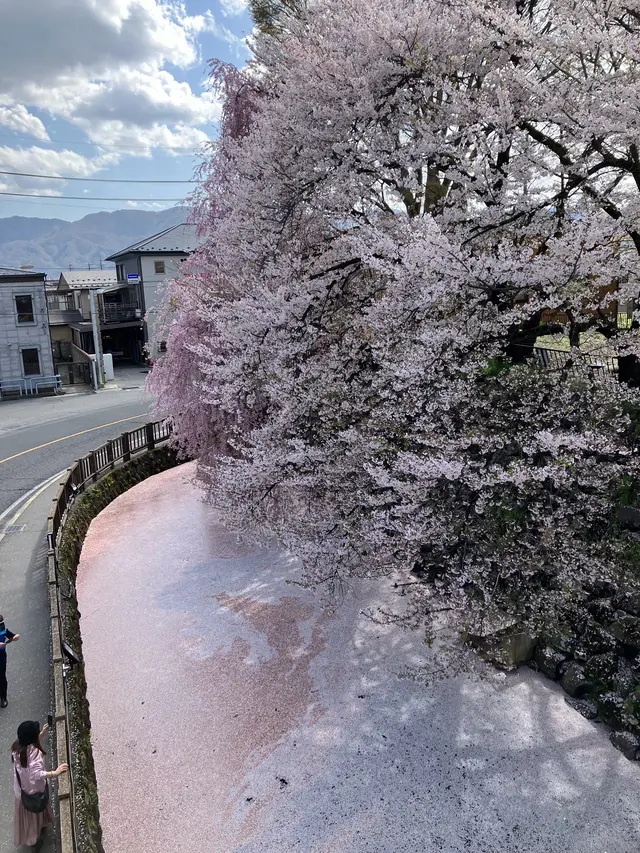 高島城