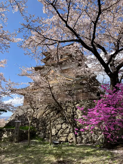 高島城