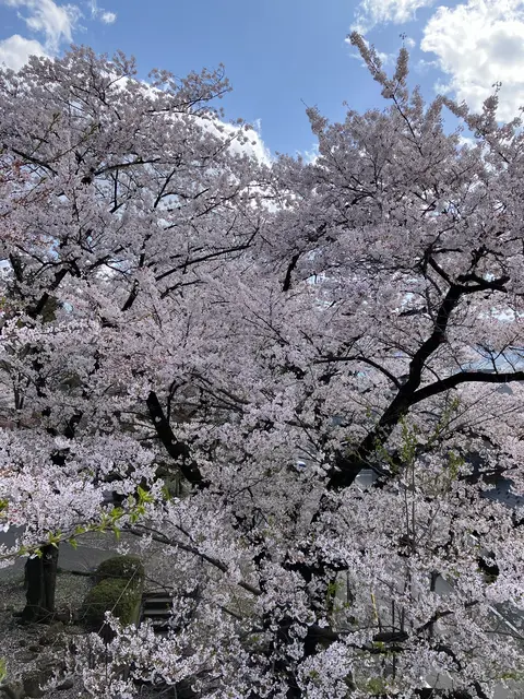 高島城