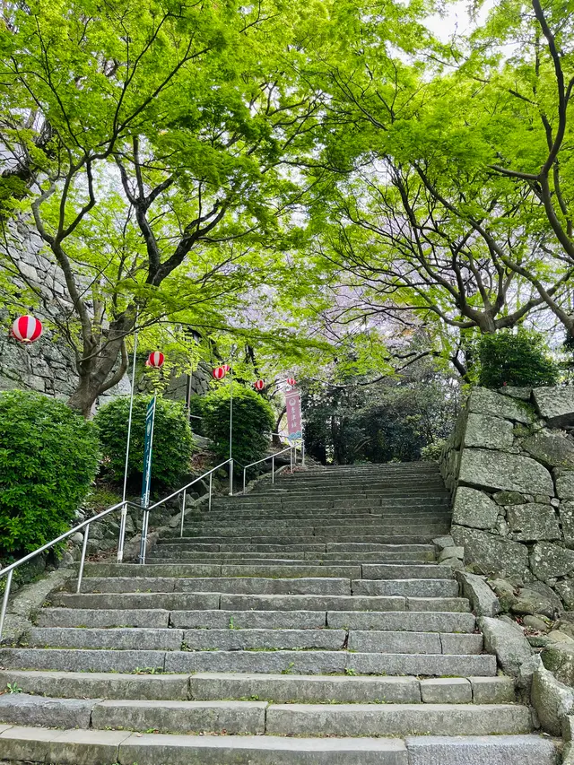 唐津城