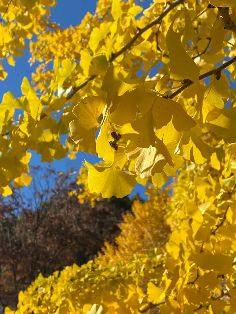 代々木公園