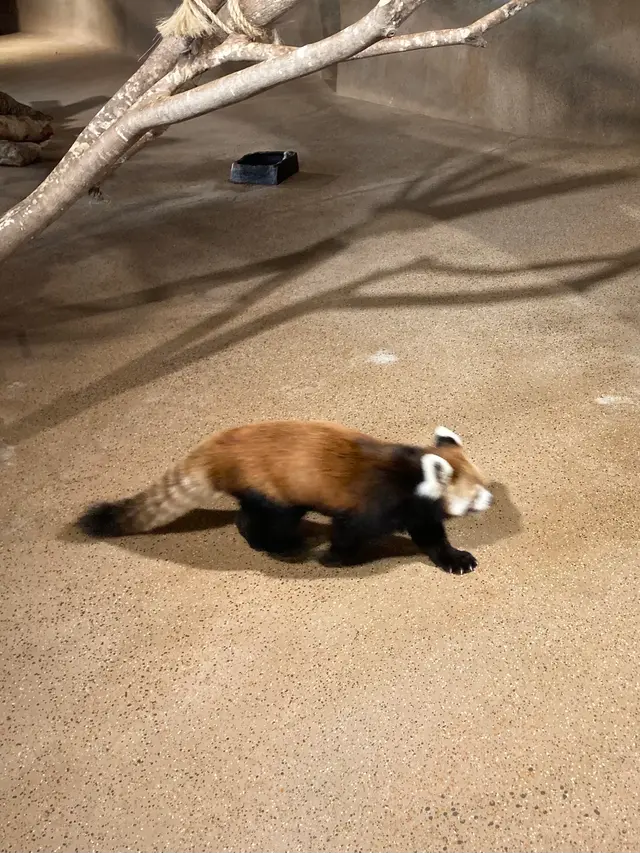 ネオパークオキナワ
