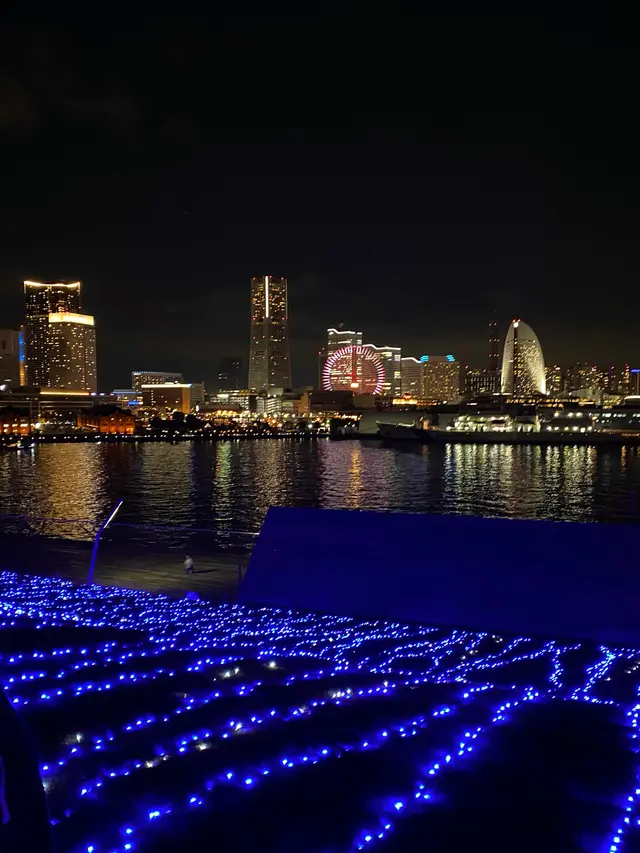横浜港大さん橋国際客船ターミナル（大さん橋）